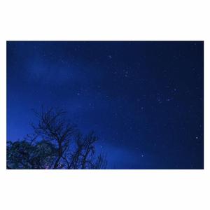 美女白丝老师裸奶头私房照
